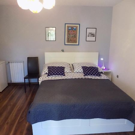 Oriella Apartmans And Room Novigrad  Exterior photo